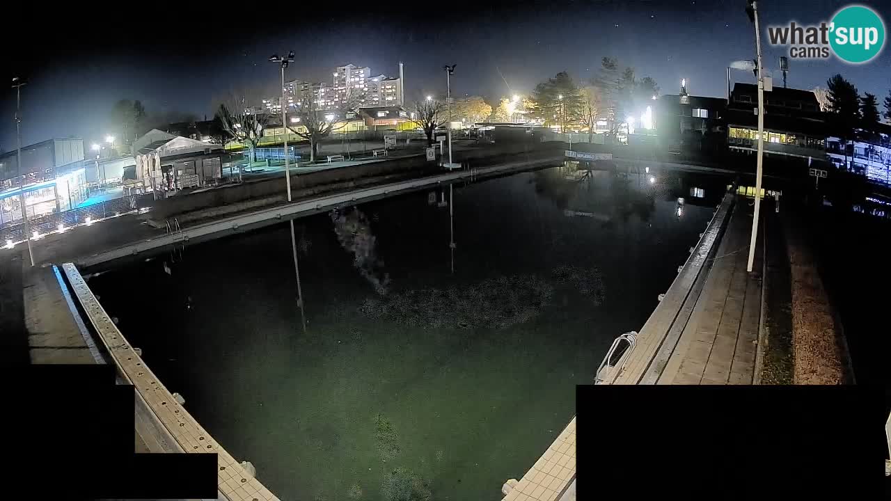 Webcam Celje – Main swimming pool