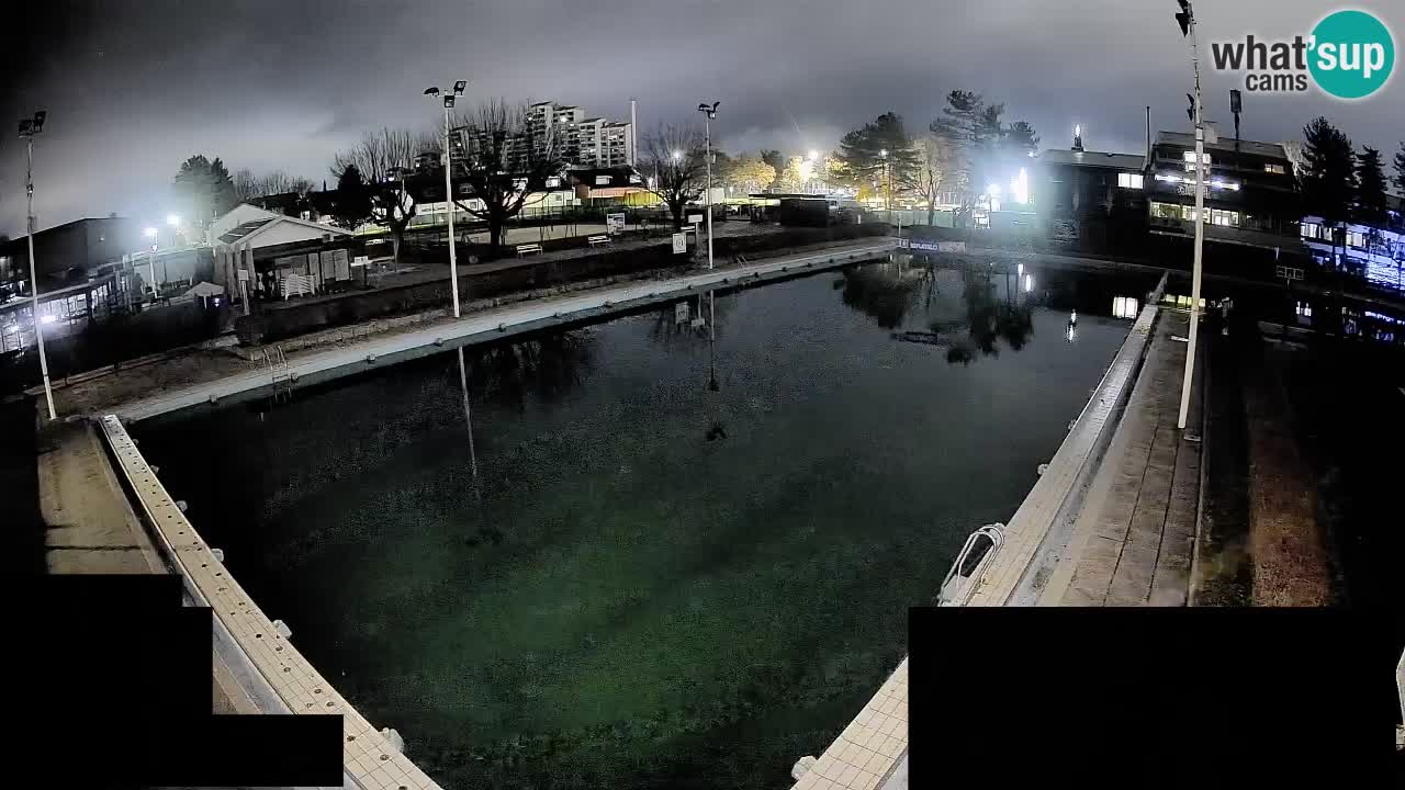 Webcam Celje – Main swimming pool