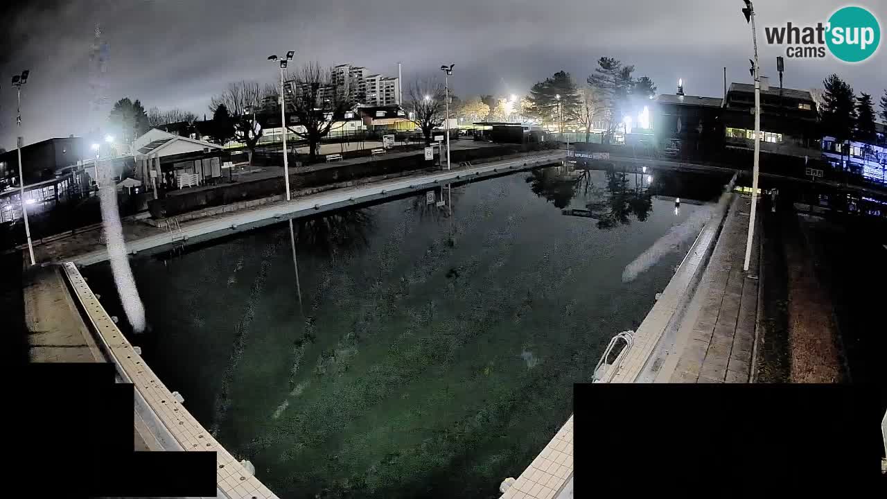 Webcam Celje – Main swimming pool