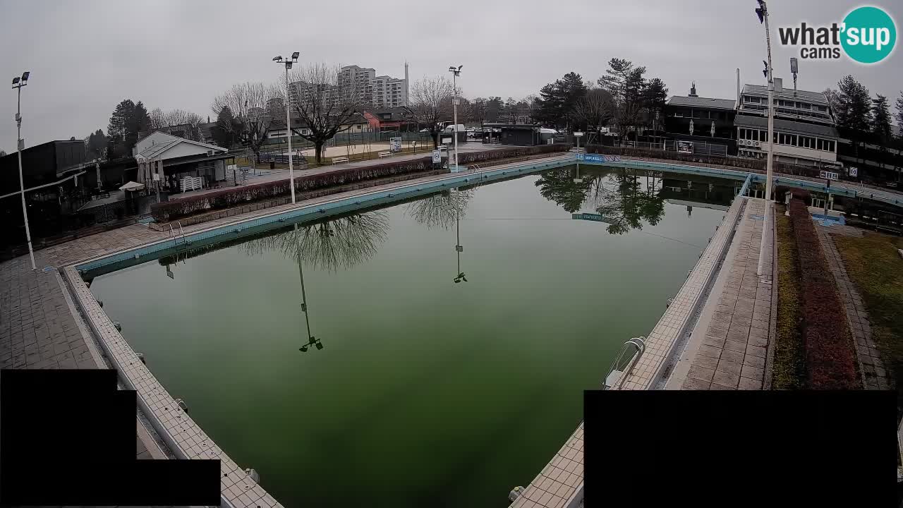 Webcam Celje – Main swimming pool