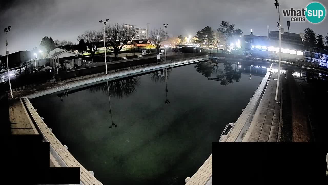 Webcam Celje – Main swimming pool