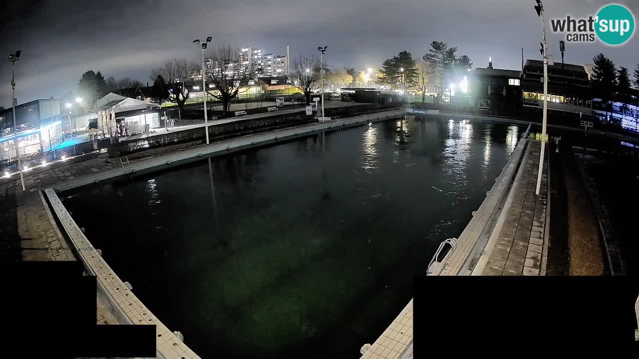 Webcam Celje – Main swimming pool