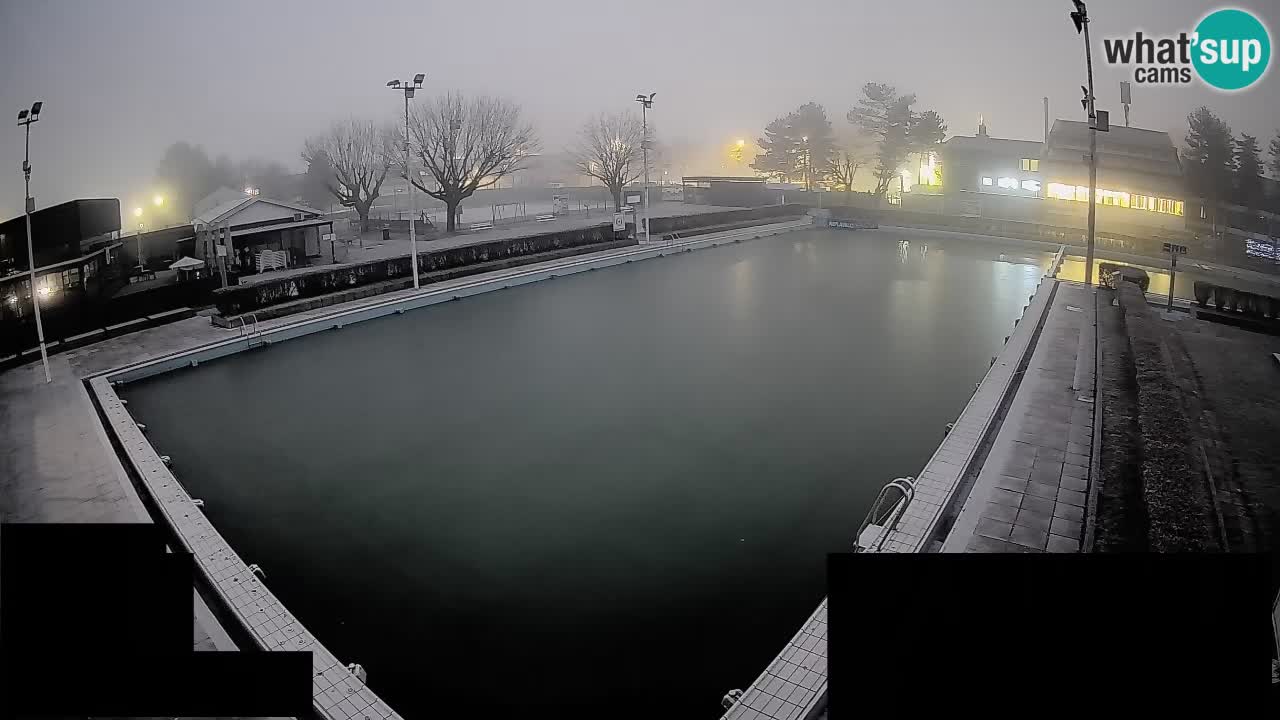 Webcam Celje – Main swimming pool