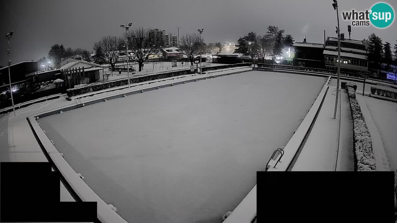 Webcam Celje – Main swimming pool