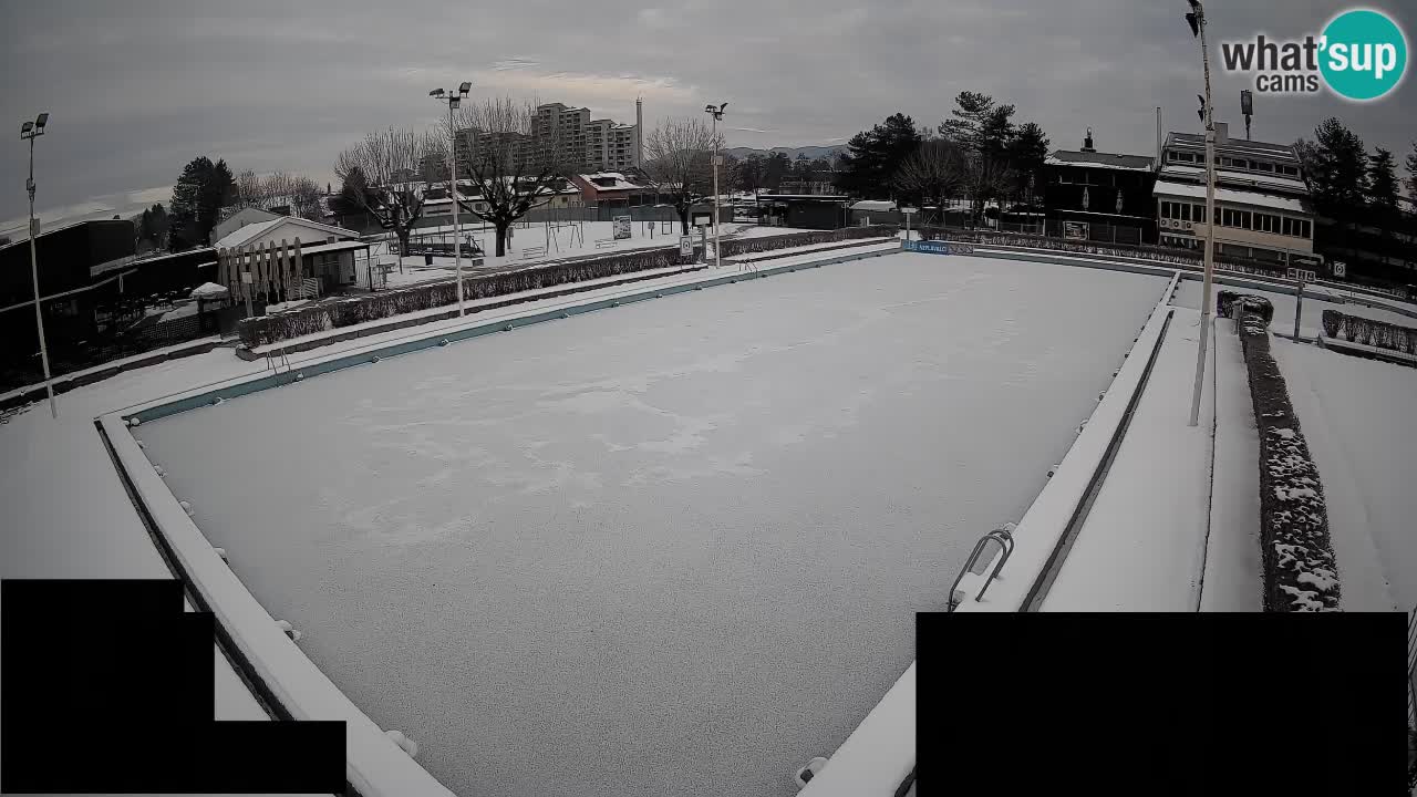 Webcam Celje – Main swimming pool
