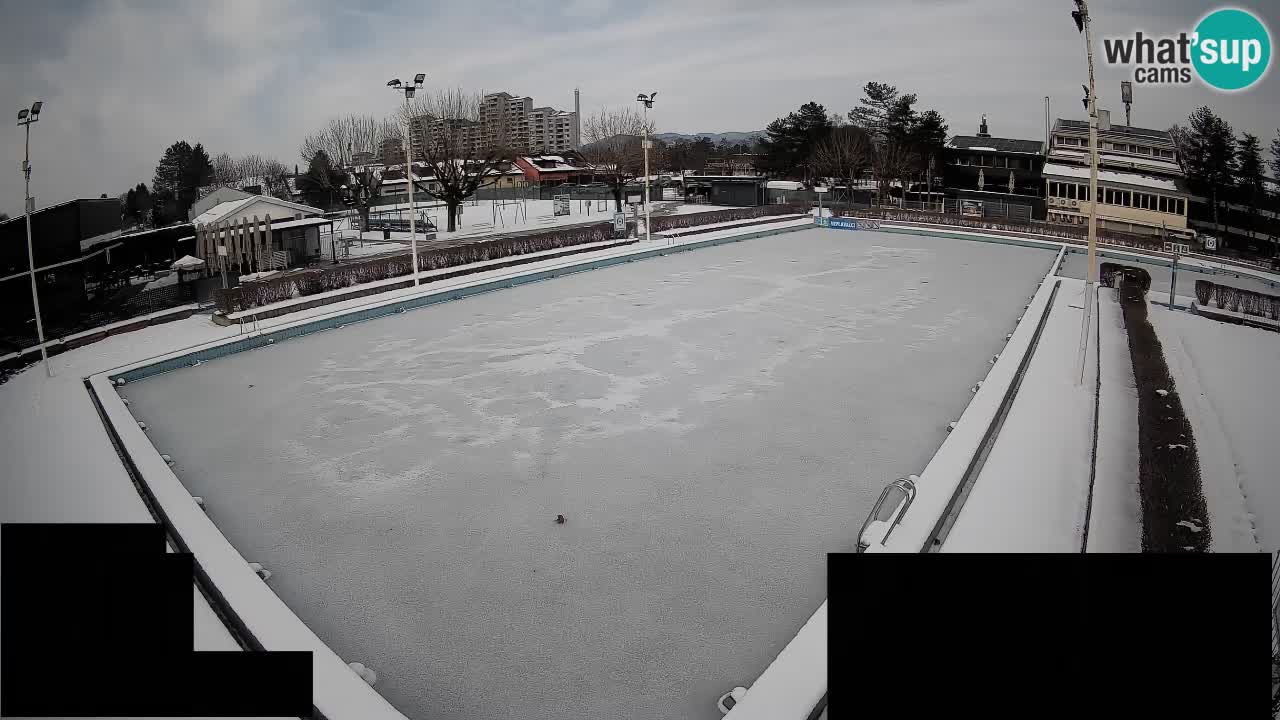 Webcam Celje – Main swimming pool