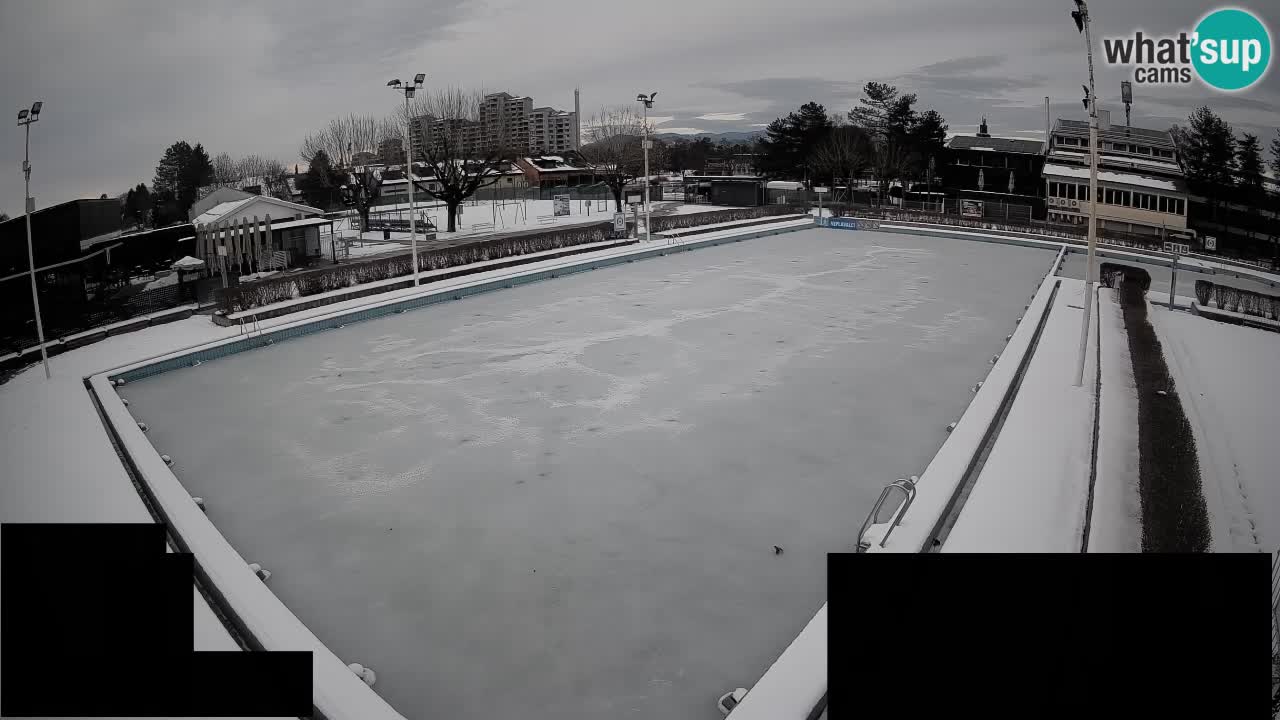Webcam Celje – Main swimming pool