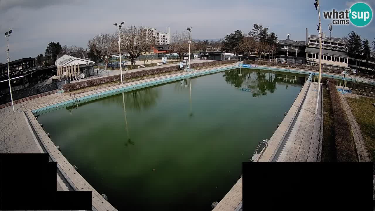 Webcam Celje – Main swimming pool