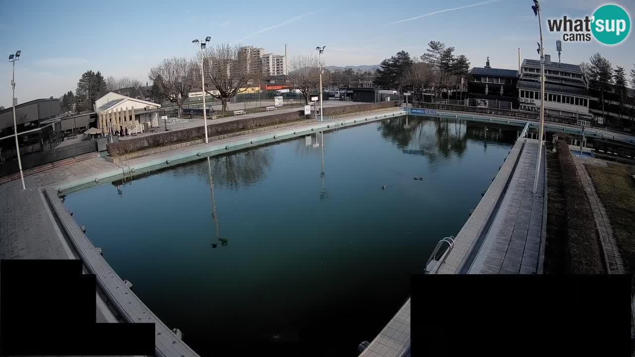 Webcam Celje – Main swimming pool