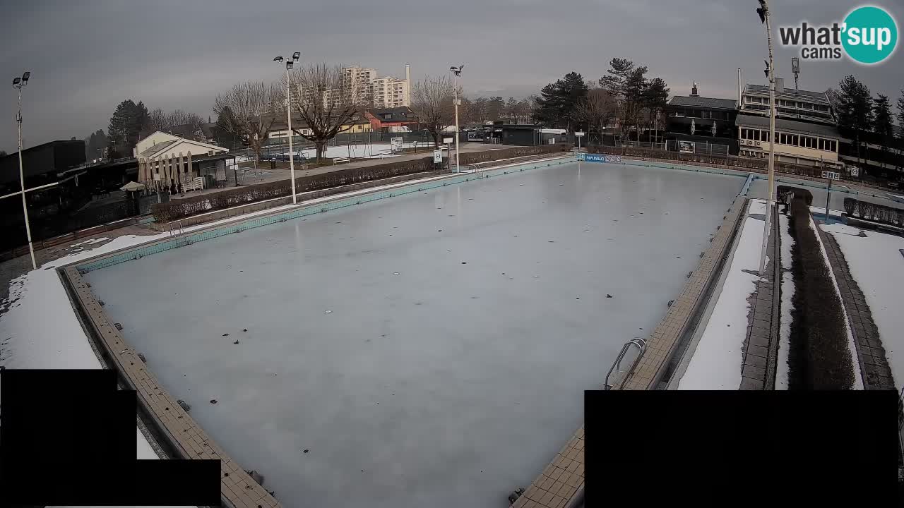 Webcam Celje – Main swimming pool