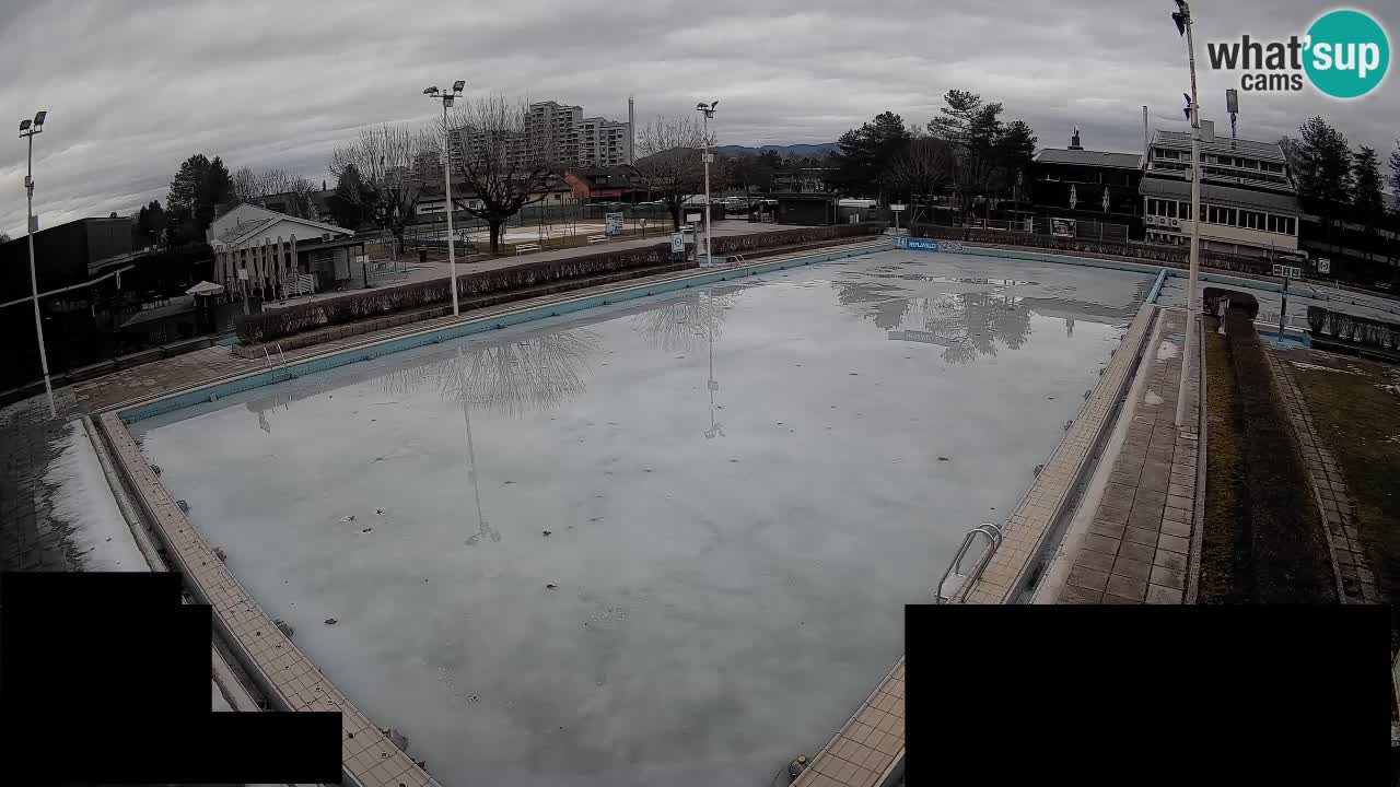 Webcam Celje – Main swimming pool
