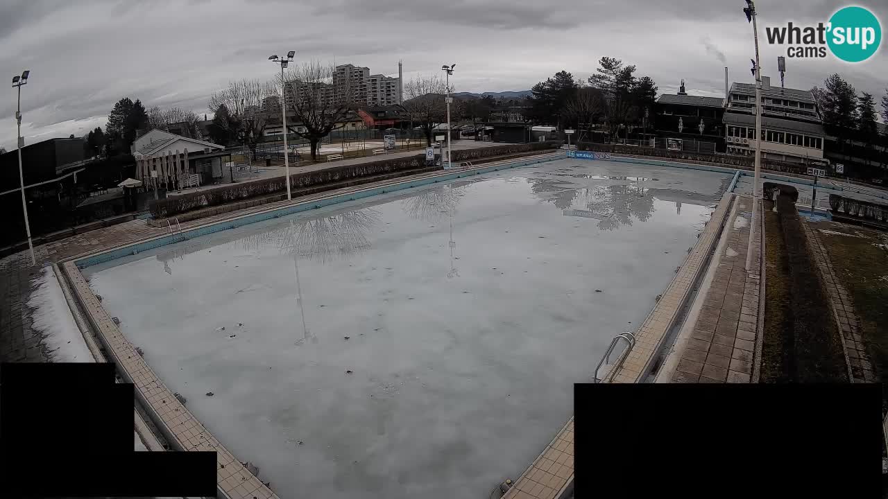 Webcam Celje – Main swimming pool
