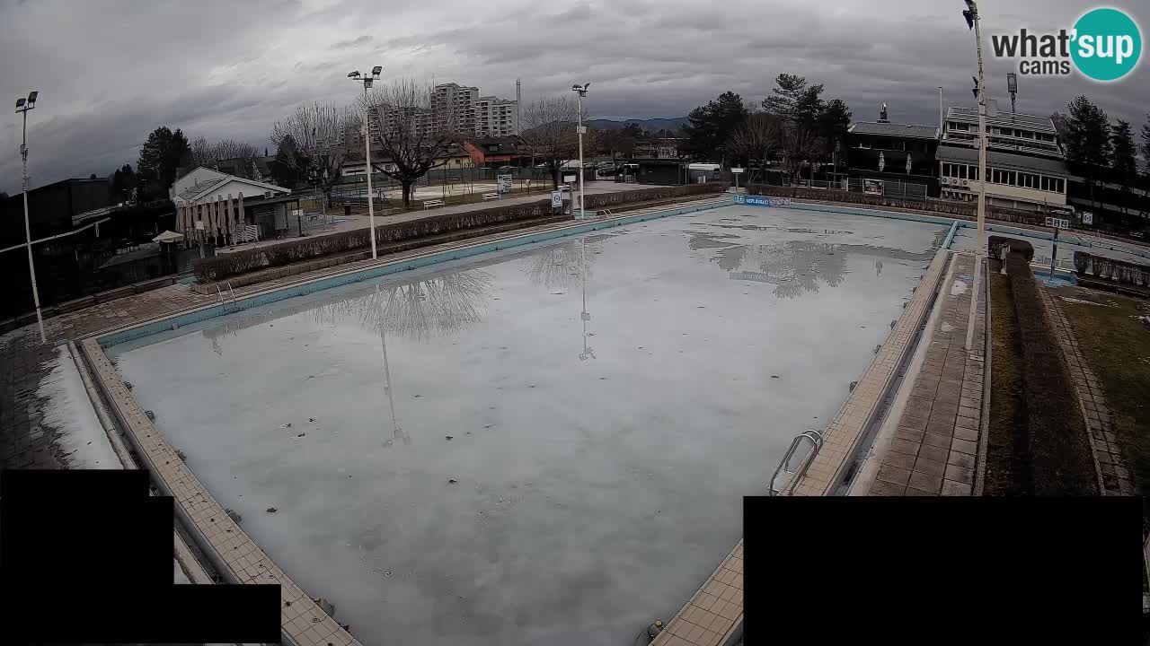 Webcam Celje – Main swimming pool