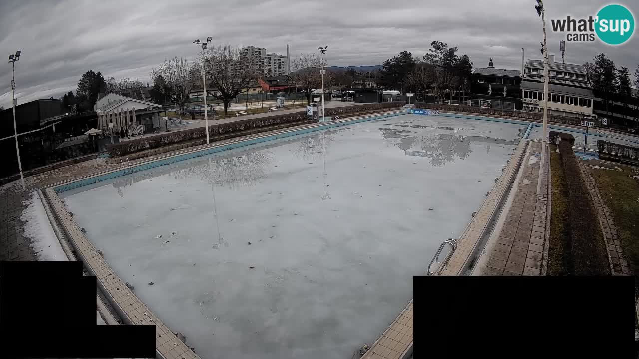 Webcam Celje – Main swimming pool