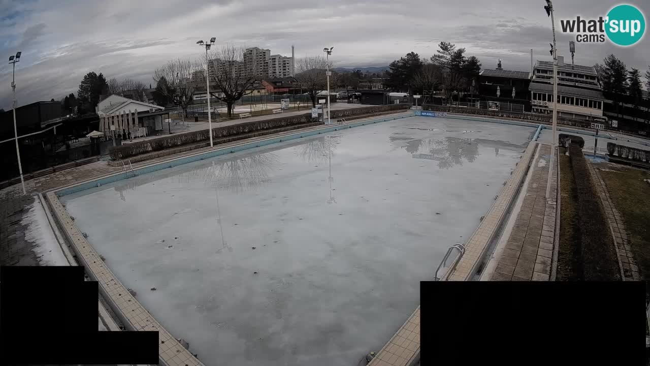 Webcam Celje – Main swimming pool