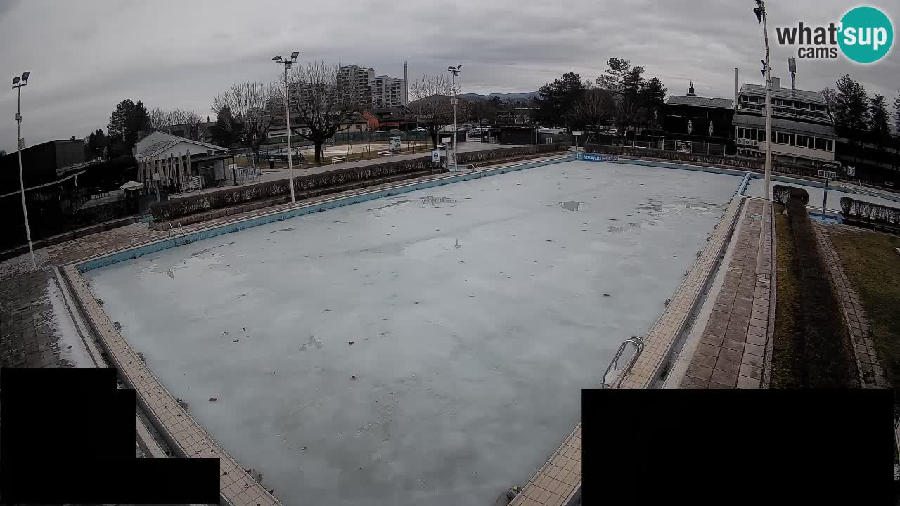 Webcam Celje – Main swimming pool