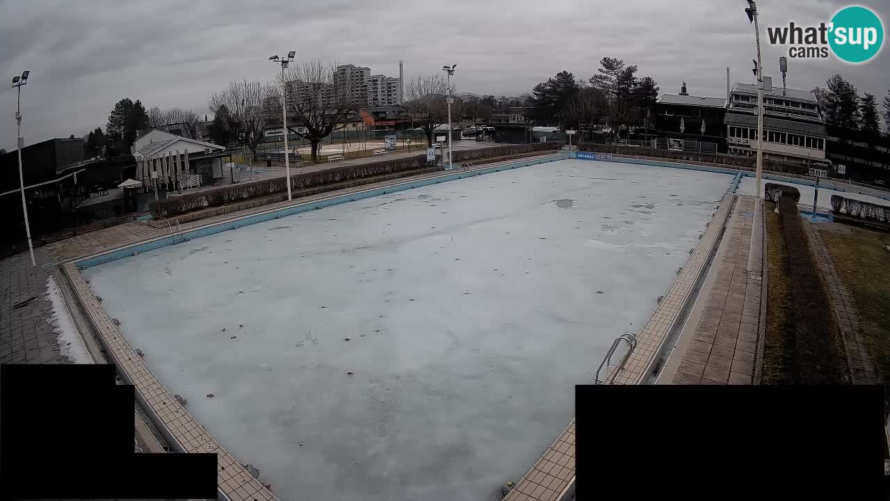 Webcam Celje – Main swimming pool