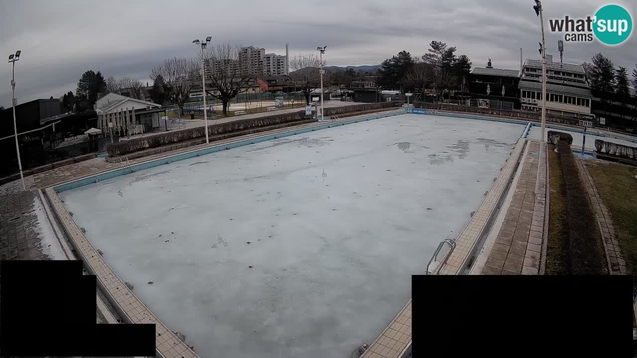 Webcam Celje – Main swimming pool