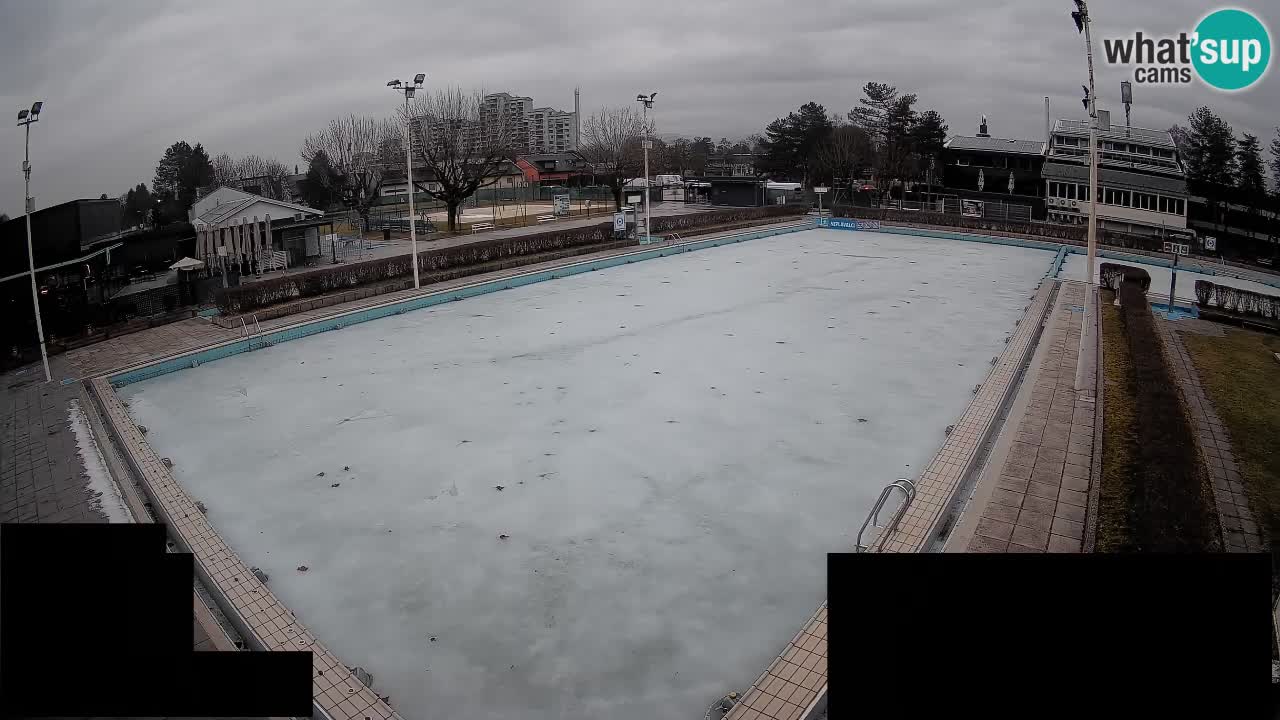Webcam Celje – Main swimming pool