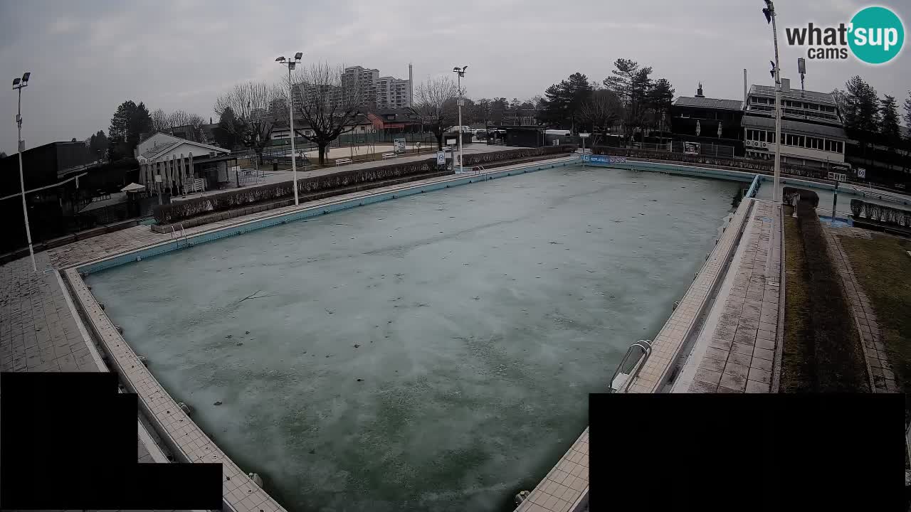 Webcam Celje – Main swimming pool