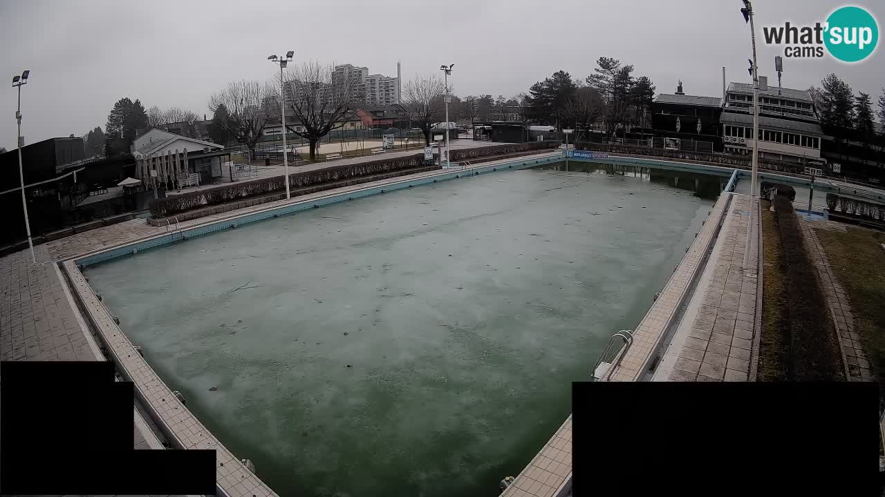 Webcam Celje – Main swimming pool