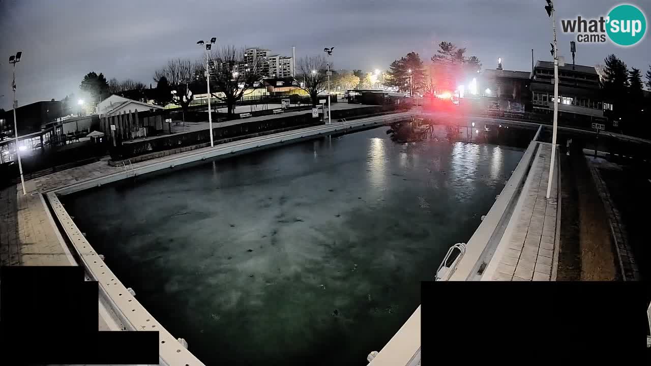 Webcam Celje – Main swimming pool