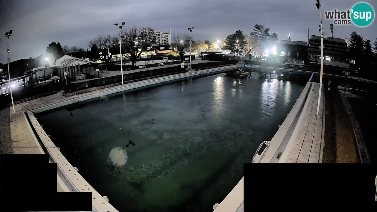 Cámara web Celje – Piscina principal