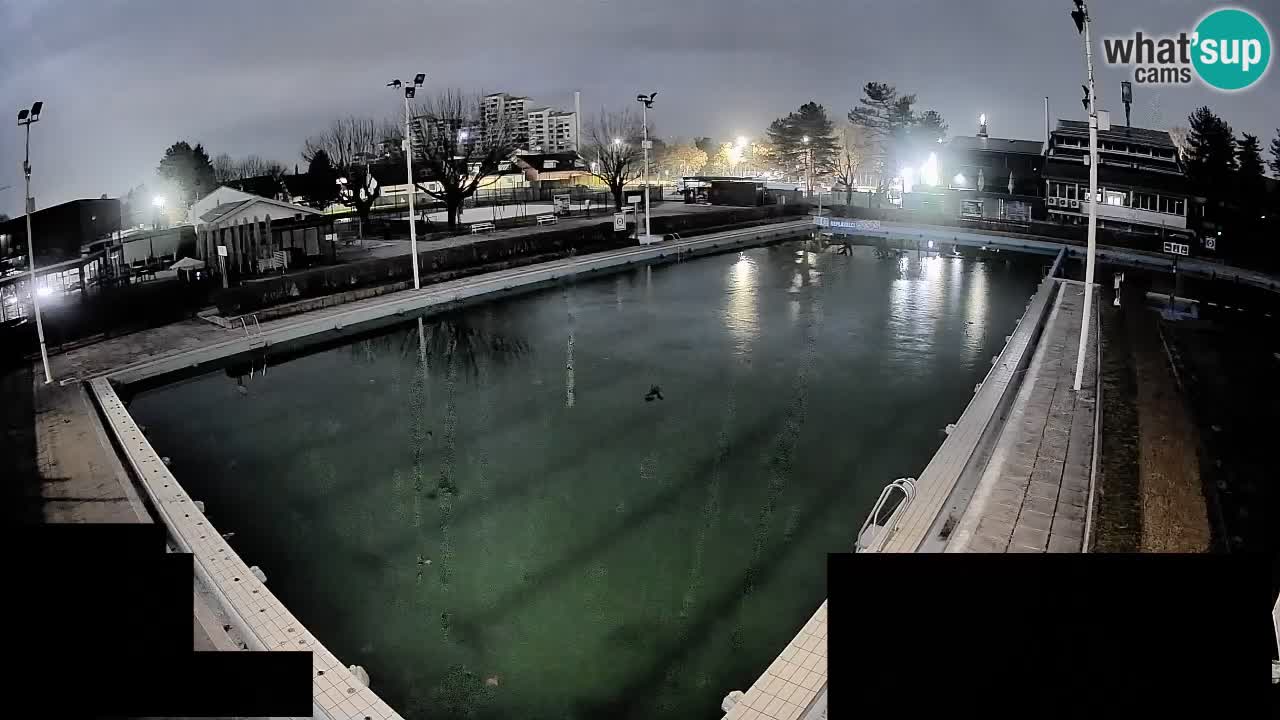 Webcam Celje – Main swimming pool