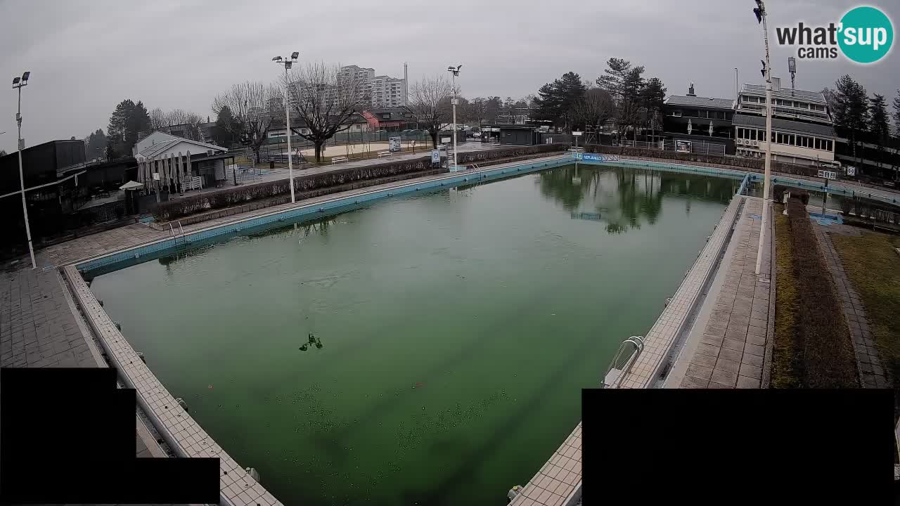 Cámara web Celje – Piscina principal