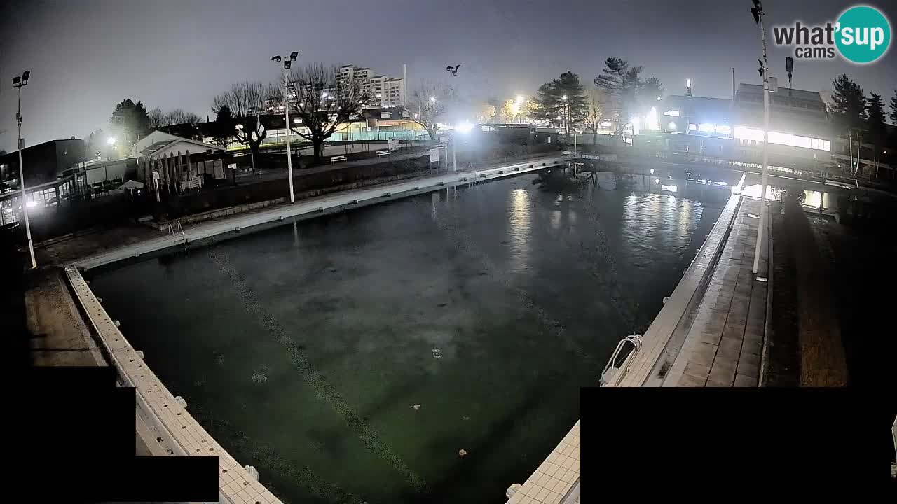 Webcam Celje – Main swimming pool
