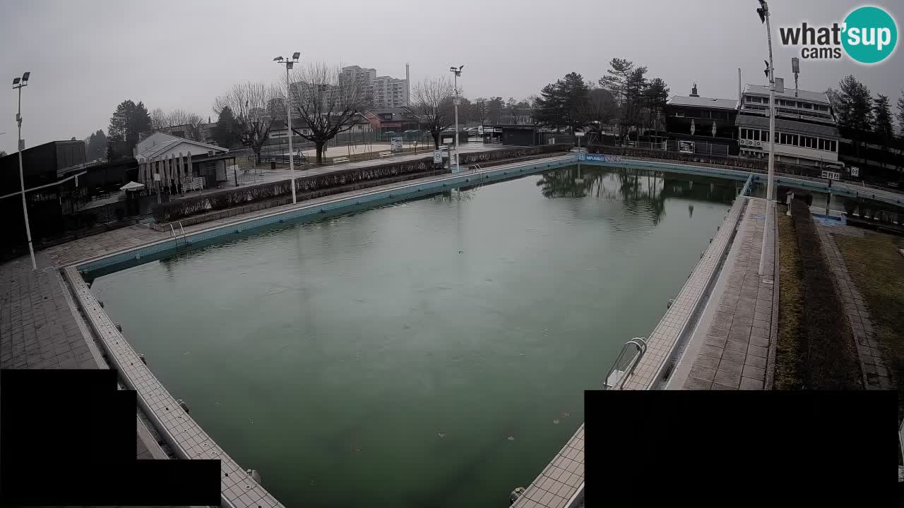 Kamera v živo Celje Letno kopališče  – glavni bazen