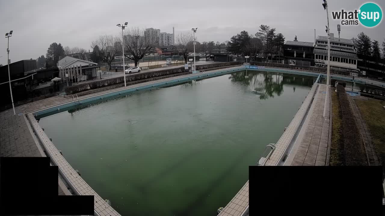 LiveCam Celje – Piscina principale