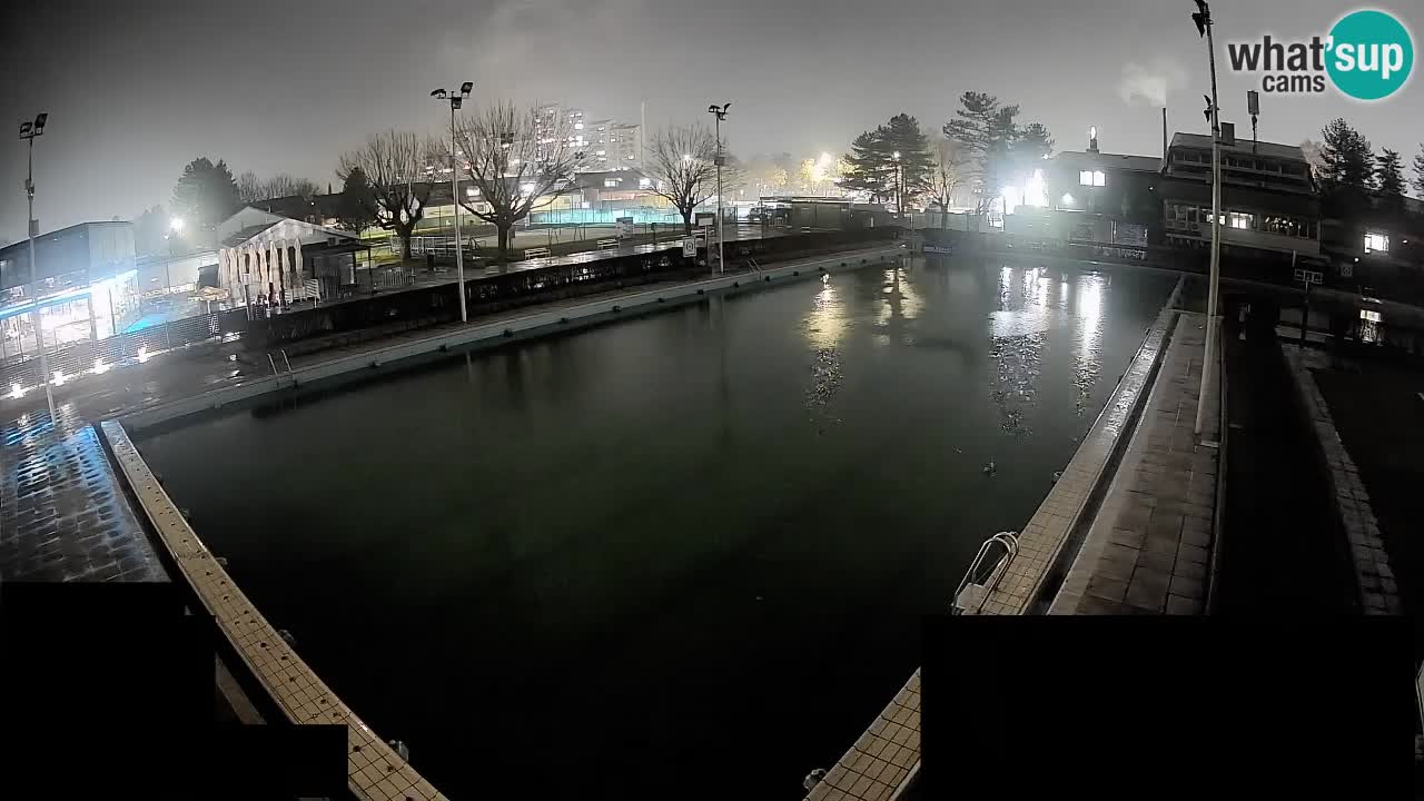 Webcam Celje – Main swimming pool