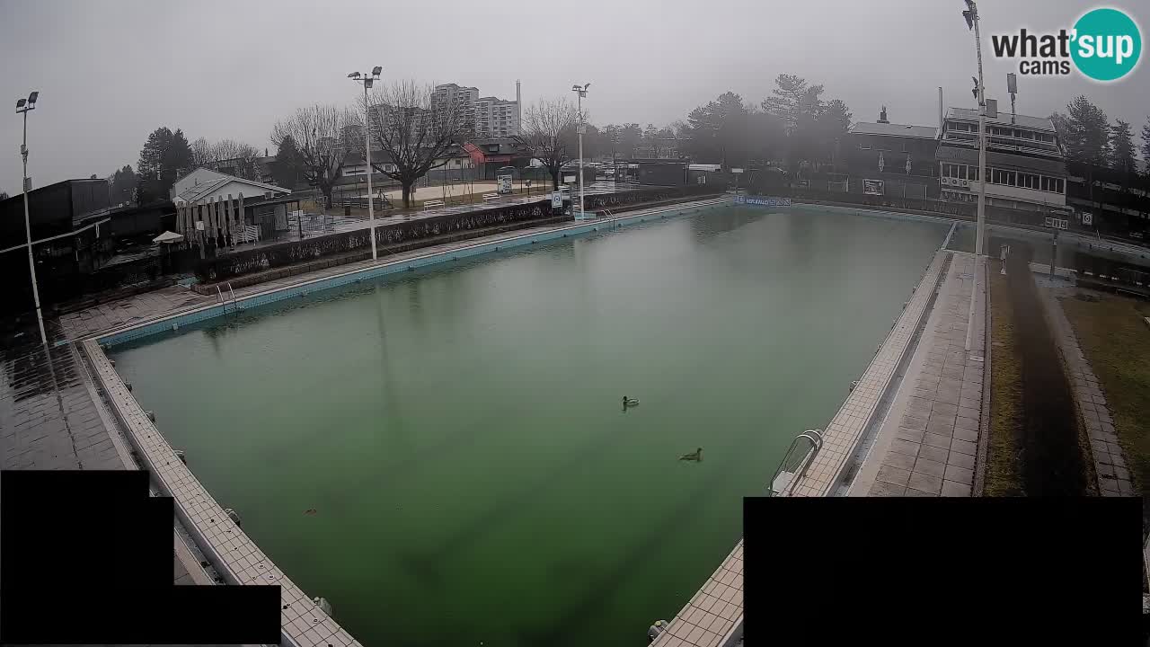 Webcam Celje – Piscine principale