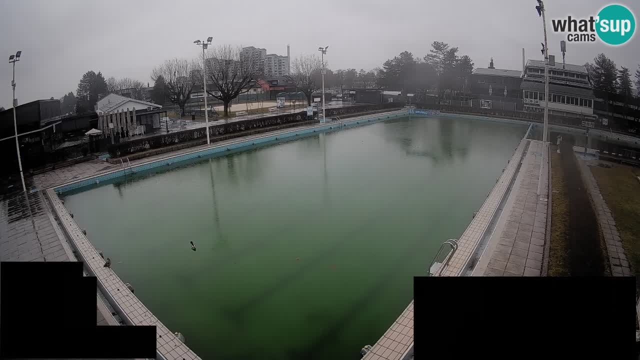 Kamera v živo Celje Letno kopališče  – glavni bazen
