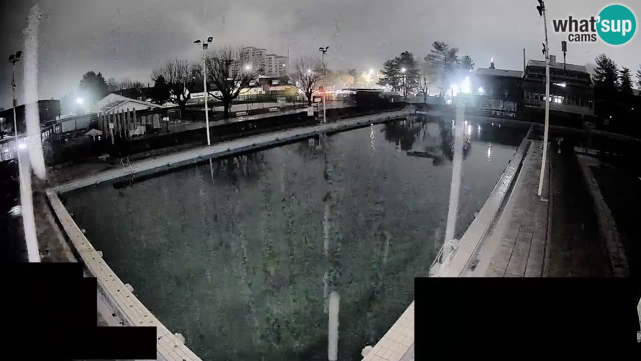 Webcam Celje – Main swimming pool
