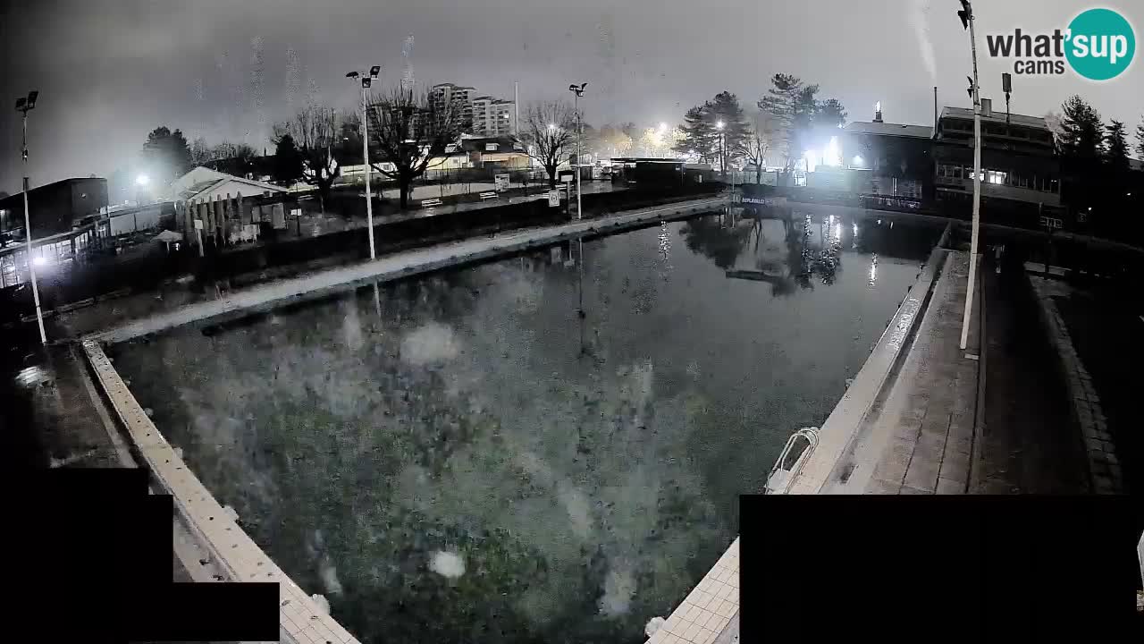 Webcam Celje – Main swimming pool