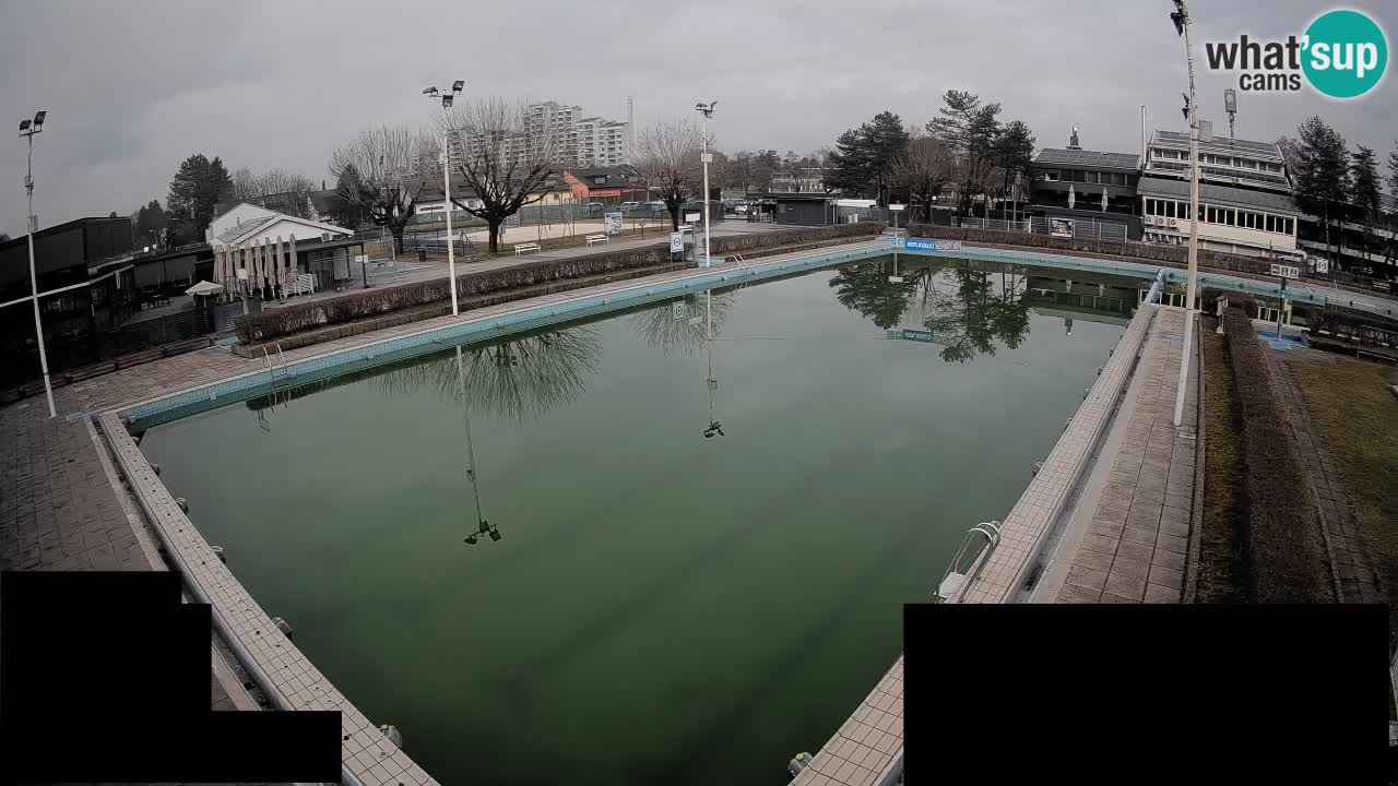 LiveCam Celje – Piscina principale