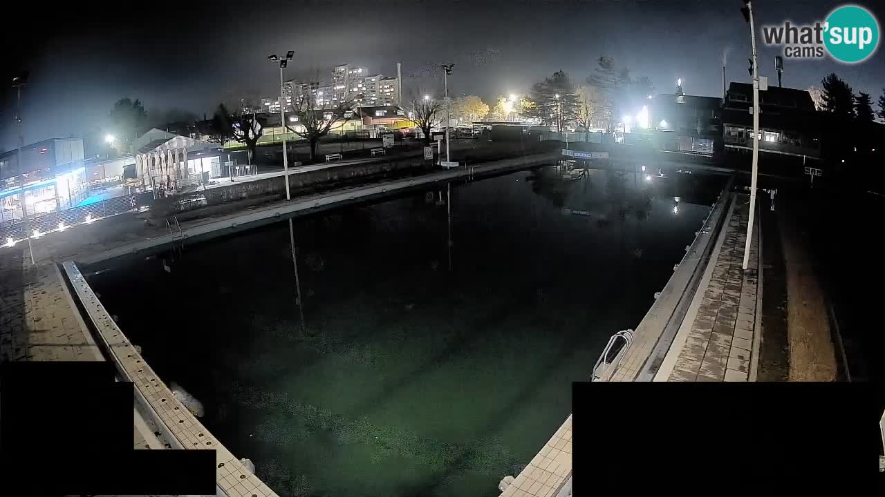 LiveCam Celje – Piscina principale
