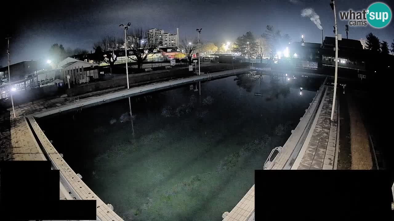 Webcam Celje – Main swimming pool