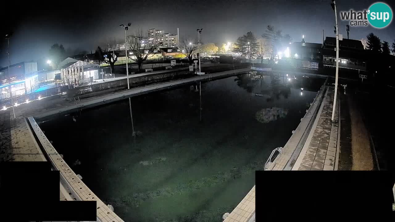 Webcam Celje – Main swimming pool