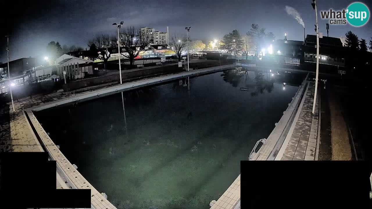 Webcam Celje – Main swimming pool