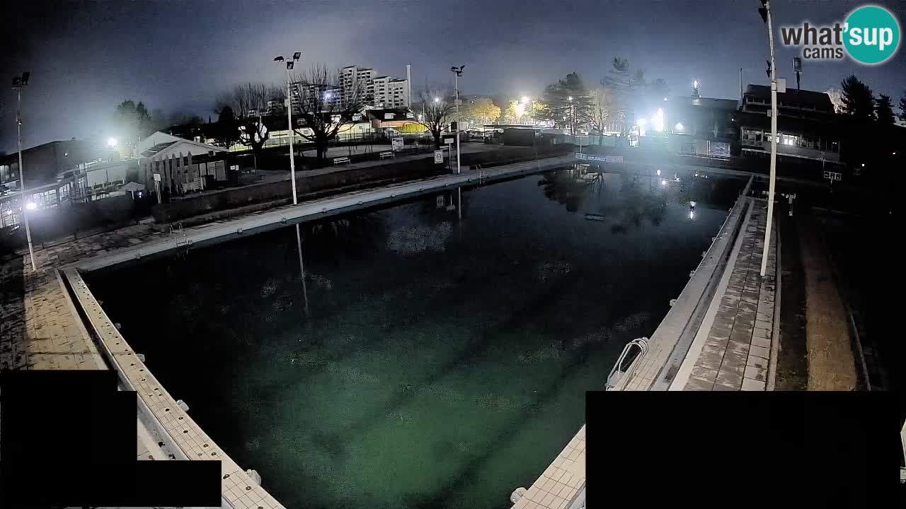 Webcam Celje – Main swimming pool