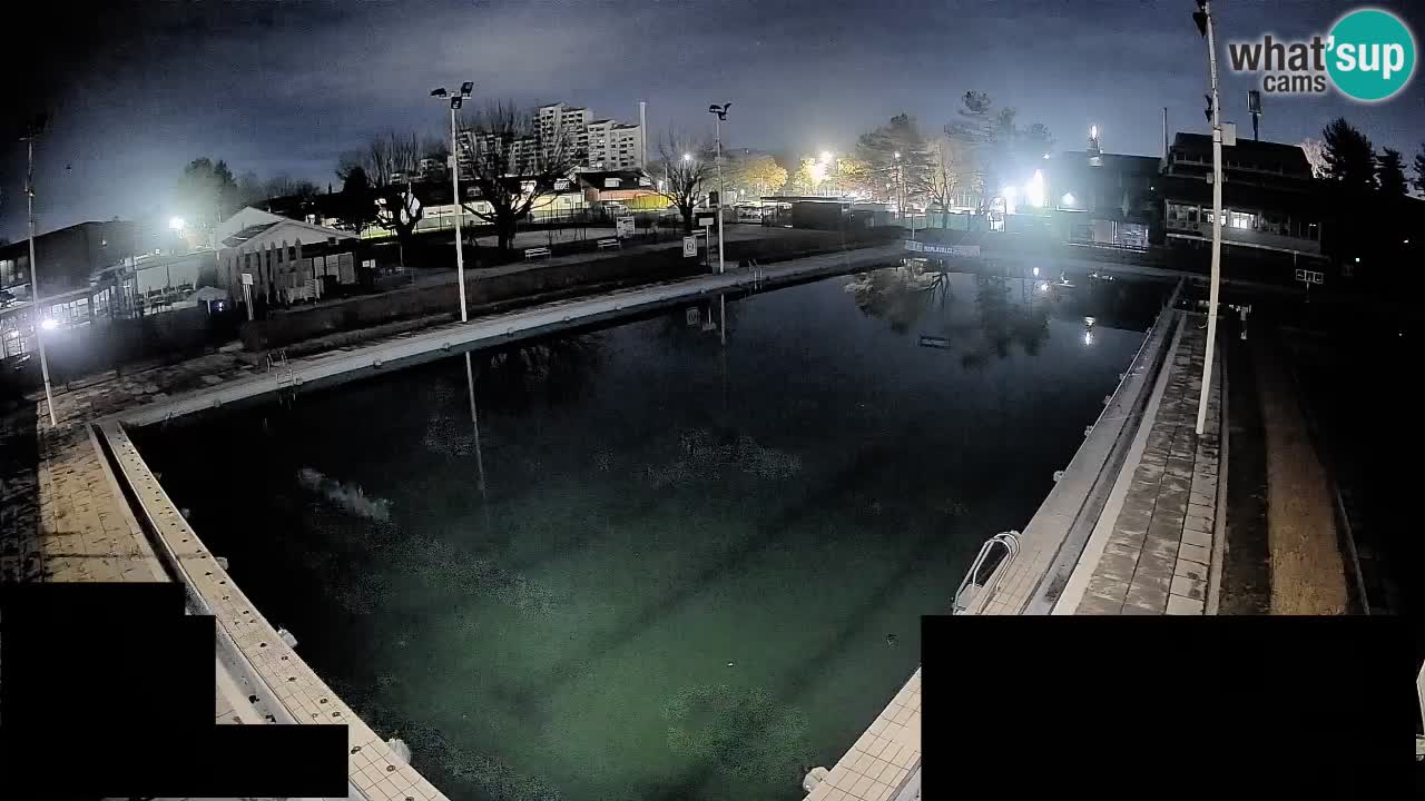Webcam Celje – Hauptschwimmbad