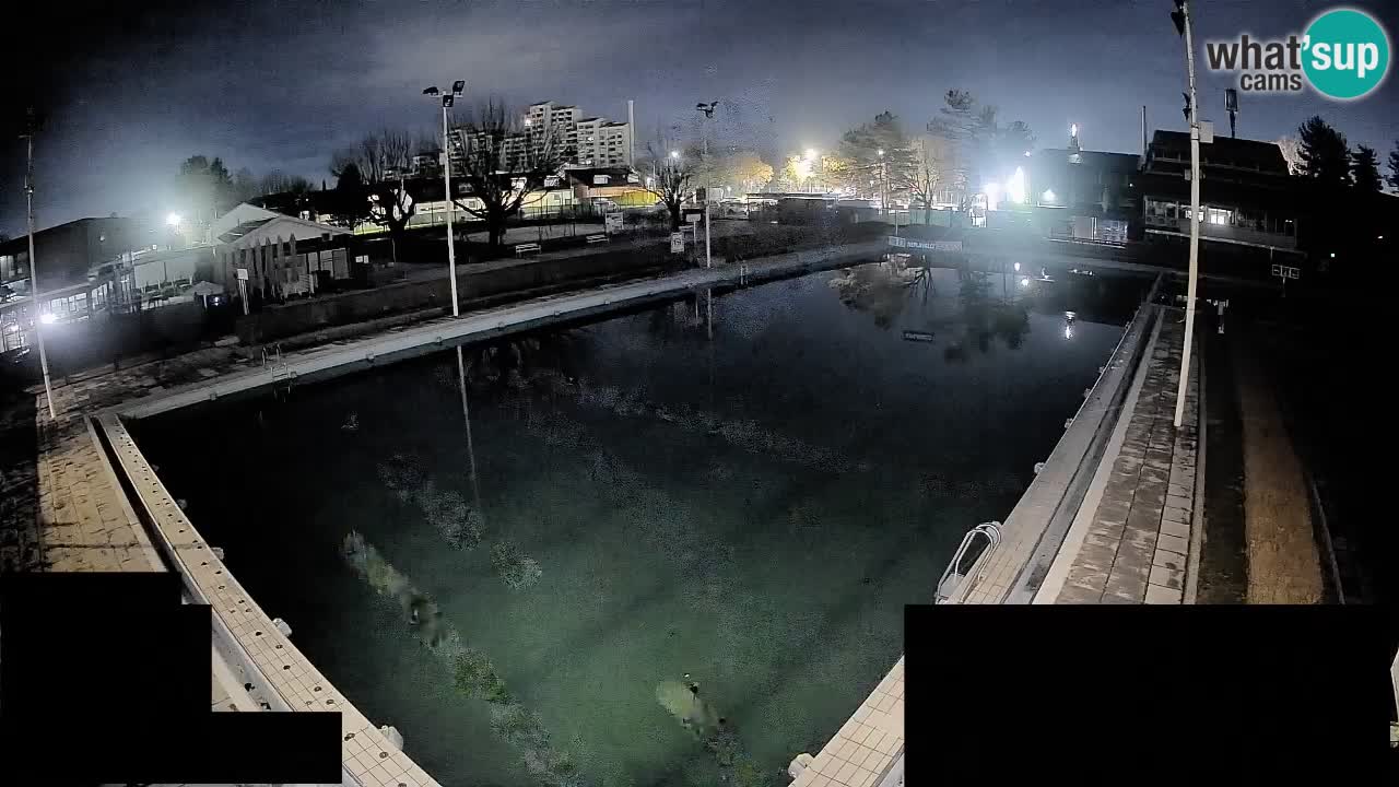 LiveCam Celje – Piscina principale