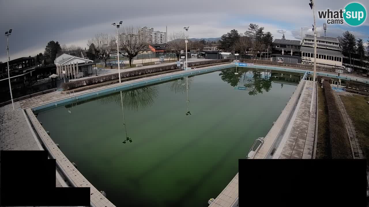Webcam Celje – Main swimming pool
