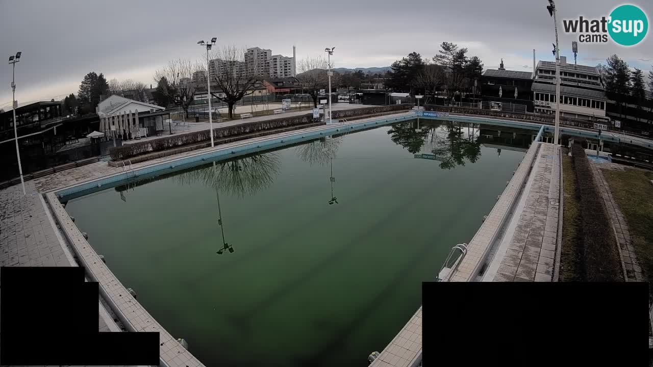 Webcam Celje – Main swimming pool