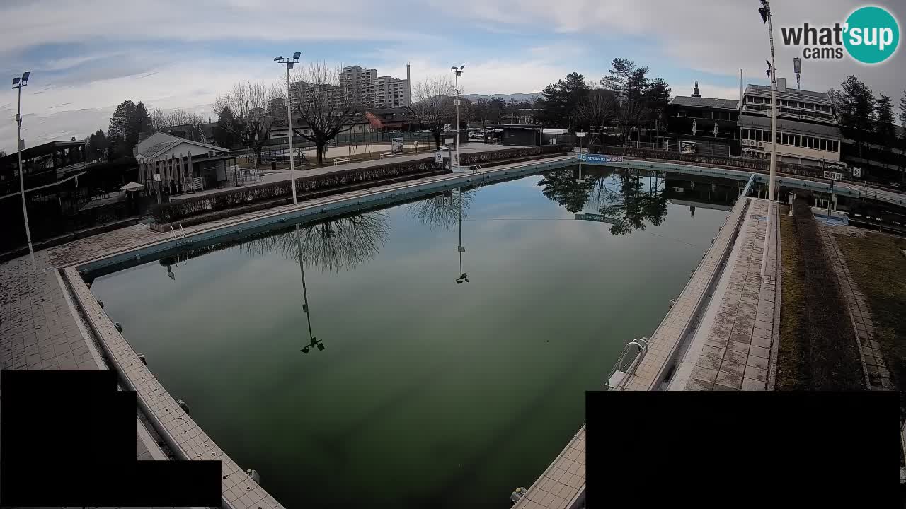 Webcam Celje – Main swimming pool