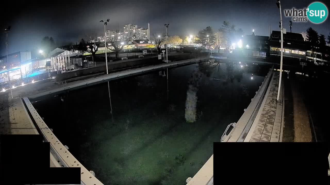 Webcam Celje – Main swimming pool