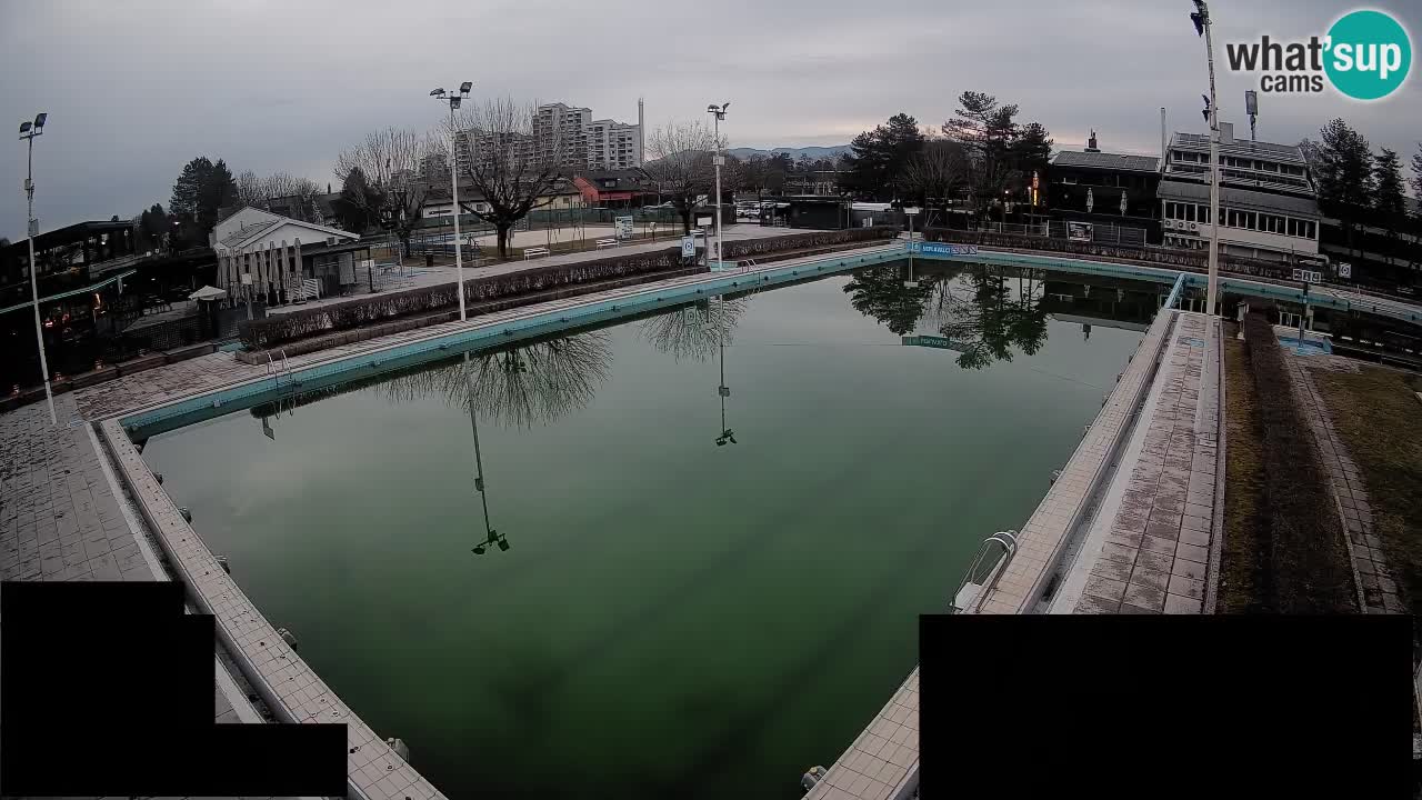 Webcam Celje – Main swimming pool